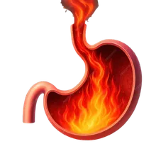 Gastroenterology: Acidity and GERD
